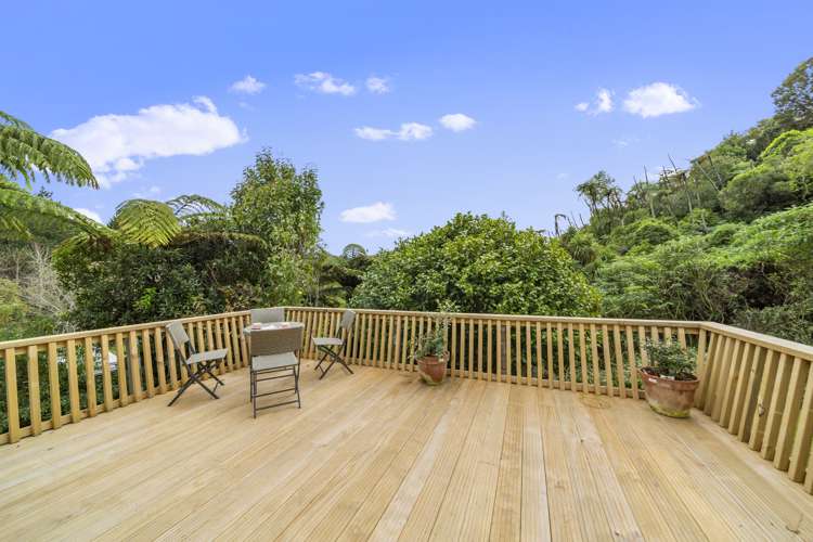 80f Mill Road Lower Vogeltown_14