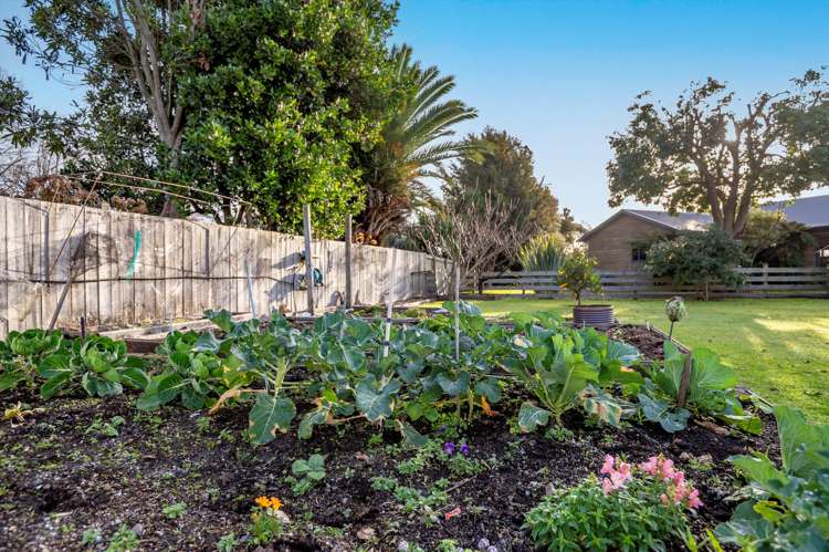 84g Grant Road Opotiki and Surrounds_15