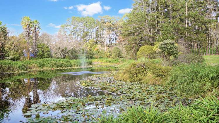393A Burtt Road Drury_27