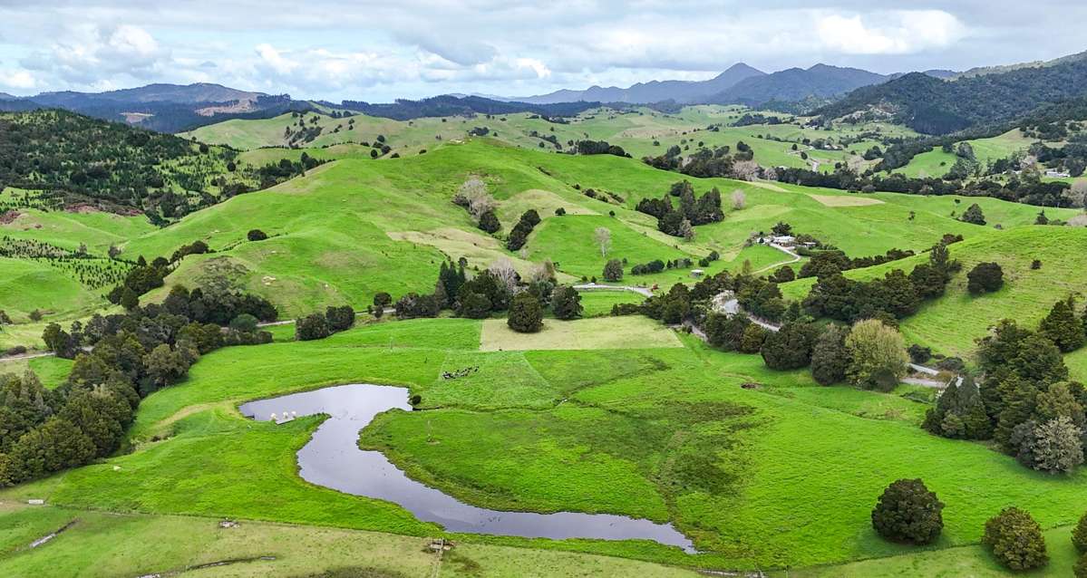 30C Te Ranga Road_0