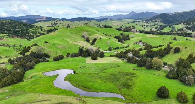 Top output grazing farm plus ETS income
