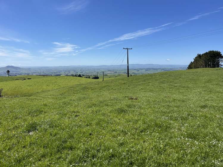 Pekanui Road Puketotara_7