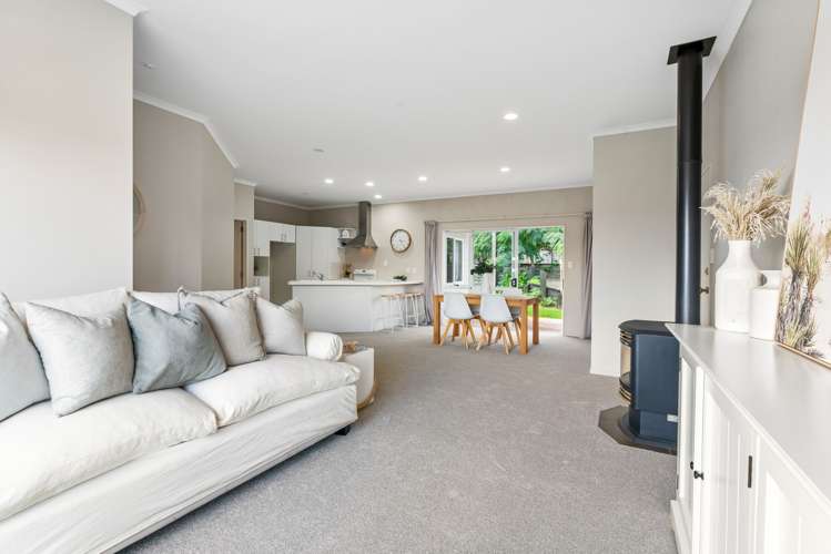 38 Sapphire Drive Hairini_5