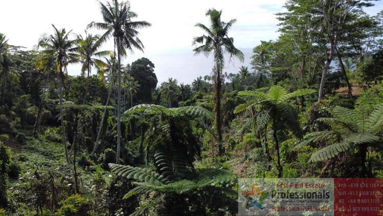 Address withheld Taveuni_19