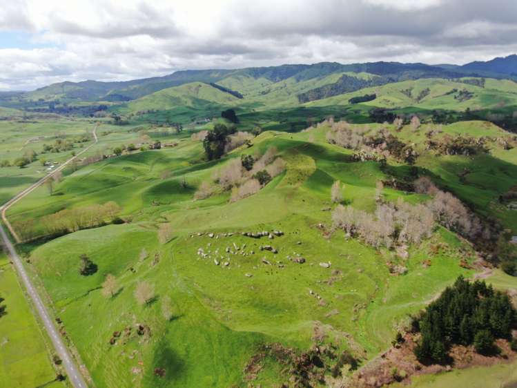 126 Tauraroa Valley Road Otorohanga_23