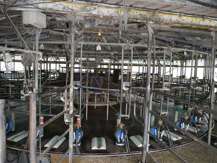 414 Sherry River Road Tapawera_28