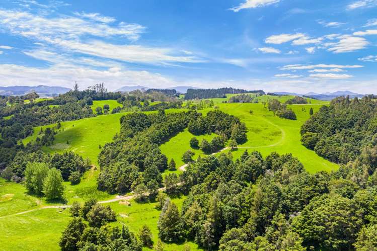 Norvil Road Titoki_13