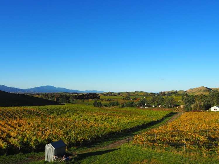 149 Wrekin Road Fairhall_17