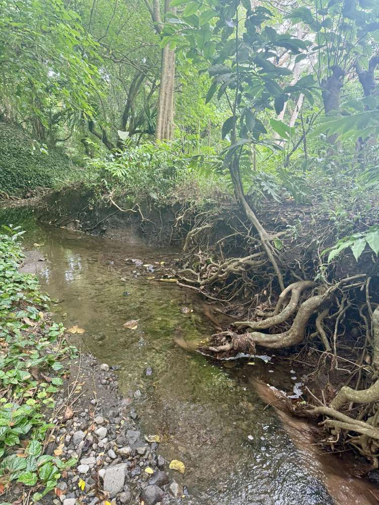 Lot 8 Navava Savusavu_8