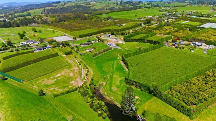 374 Youngson Road Whakamarama_28