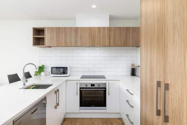 52e Picton Avenue Riccarton_2