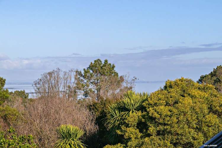 77A Donovan Street_3