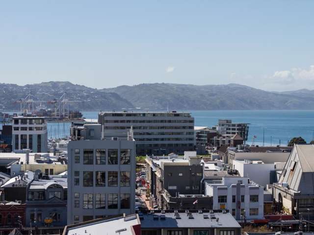 9a/11 Tennyson Street Te Aro_2