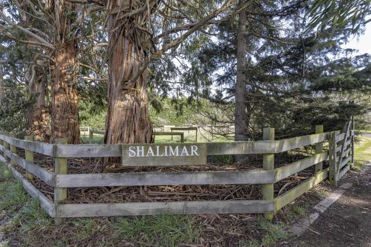 289 Rattletrack Road Springston_20