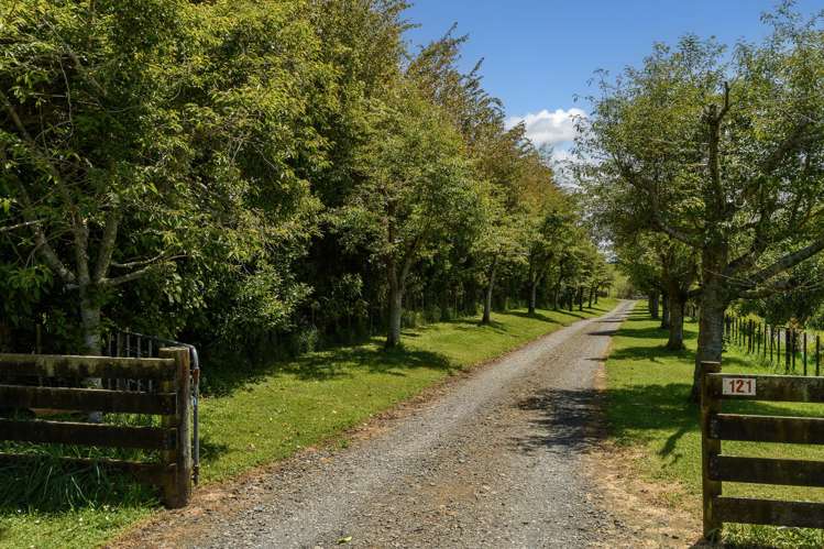 121 Leyland Road Whakamarama_20