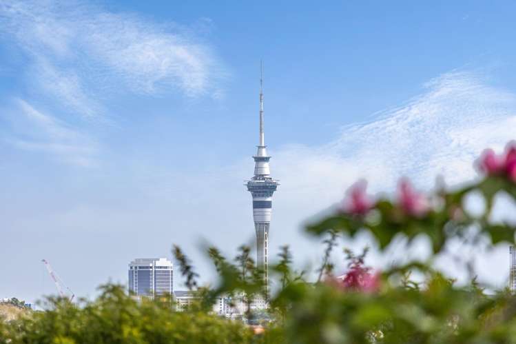 6 Ventnor Road Remuera_13