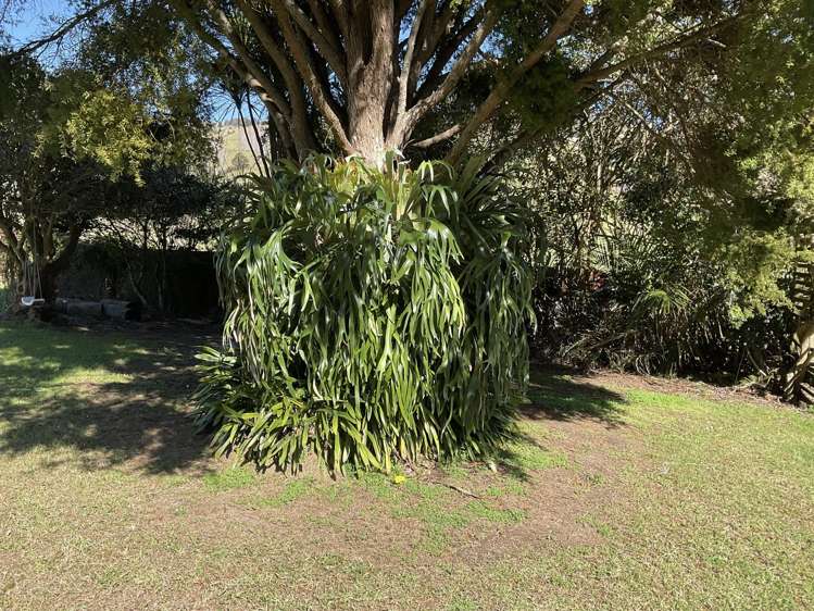 873 Pakiri Road Pakiri_20