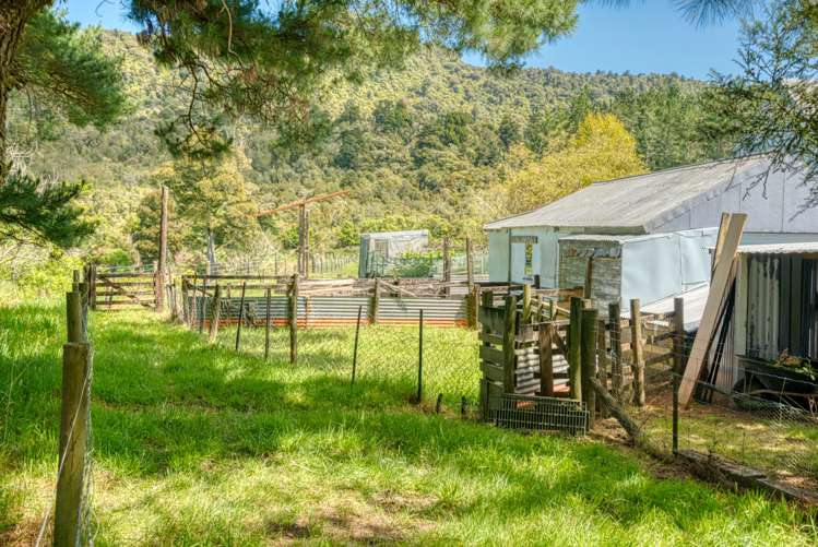 19 Baty Place Coal Creek_65