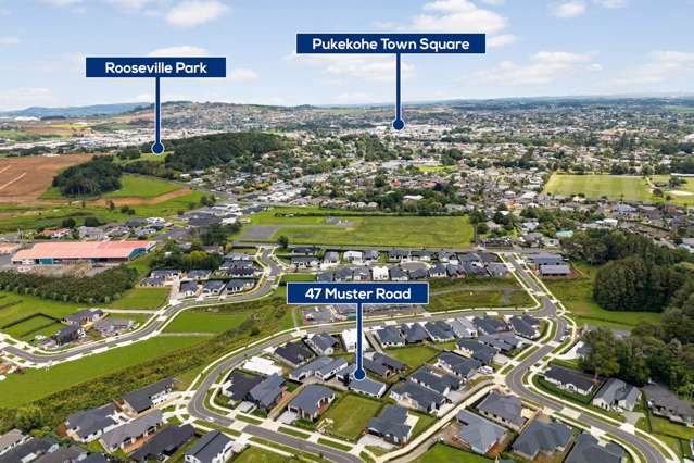45 Muster Road Pukekohe_3