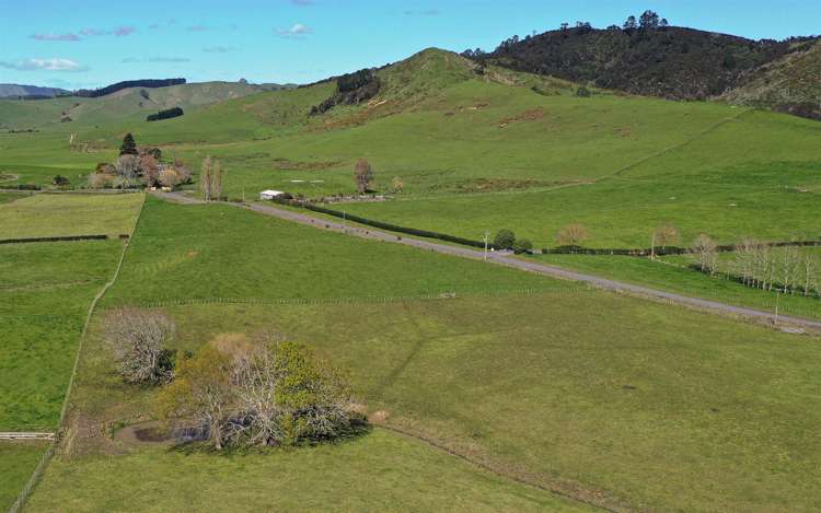 171 Martin Road Waerenga_31