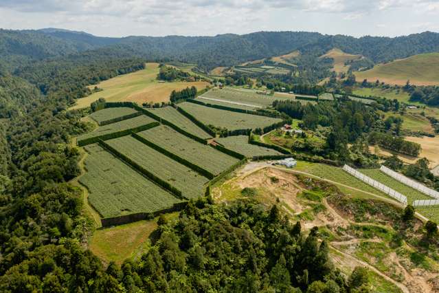 1335b No 3 Road Te Puke_3