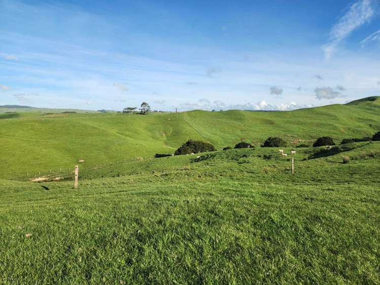 899 Te Akau Road Te Akau_9