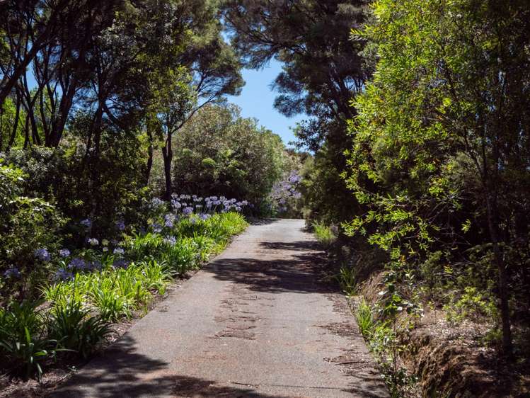 380c Opito Bay Road Kerikeri_7