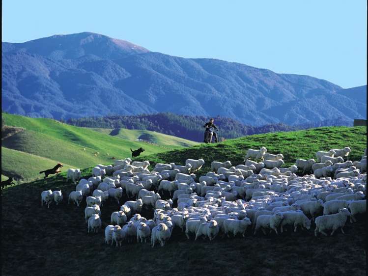 545 Waiwhero Road Ngatimoti_23