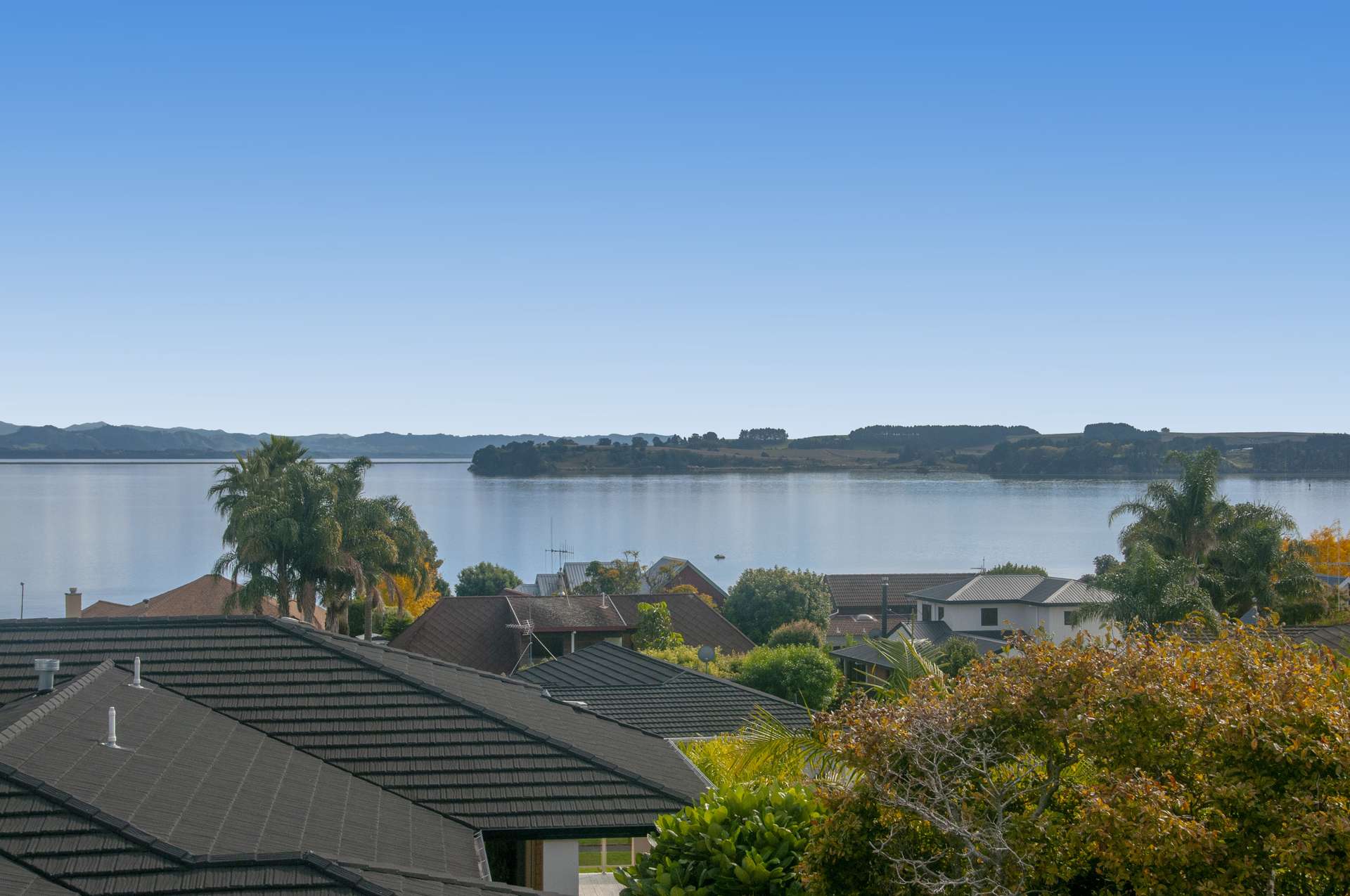 12 Vivian Drive Omokoroa_0