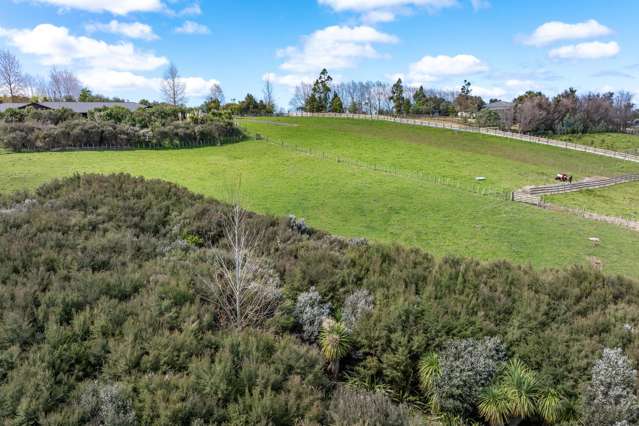 51 Clayden Road Warkworth_3