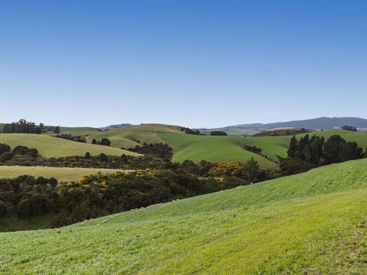 385 North Branch Road Milton_18