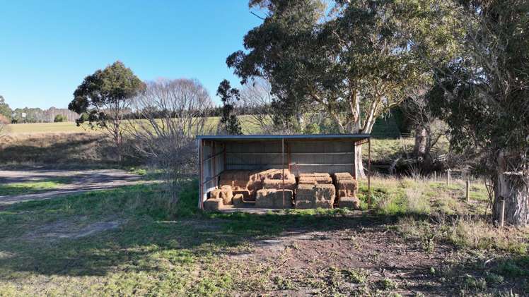 Lot 2 Beatties Road Ashley_8