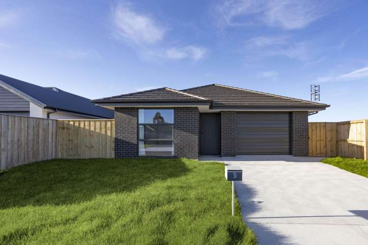 31 Wilkin Road Ravenswood_22