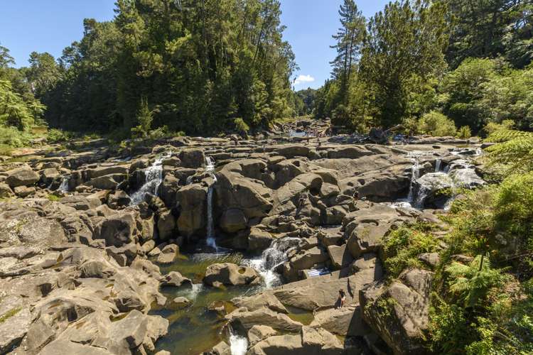 425 Mclaren Falls Road Kaimai_18