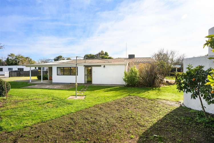 6 Flower Street Bulls_37