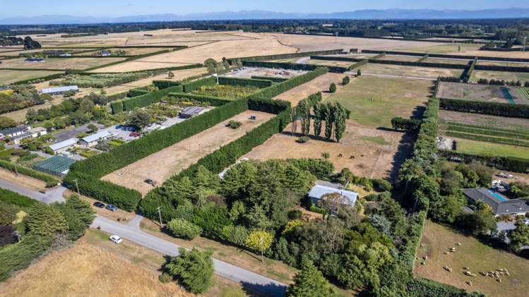 50 Ivey Road Templeton_25