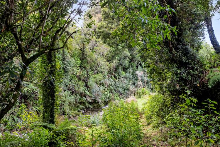 777 Dover Road Okato_14