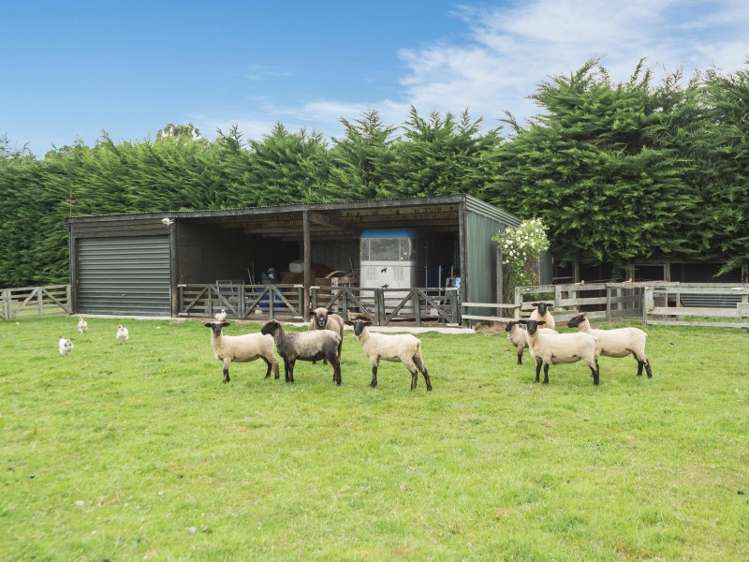 2 Wilson Drive Ohoka_14