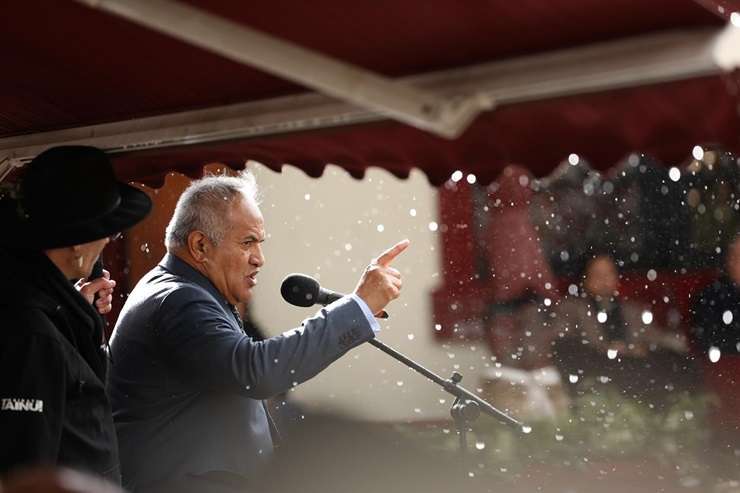 A duplex on Jellicoe Drive, in Hamilton East, is one of 18 properties being offered to iwi. Photo / Nikki Preston