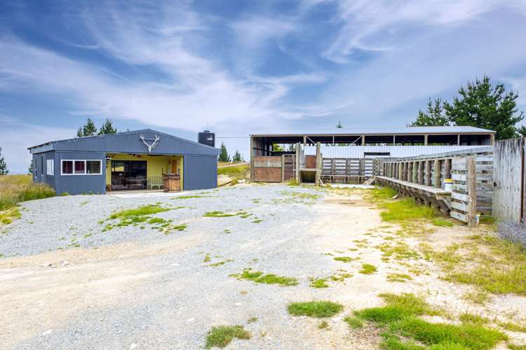 Mcintosh Road Geraldine_8