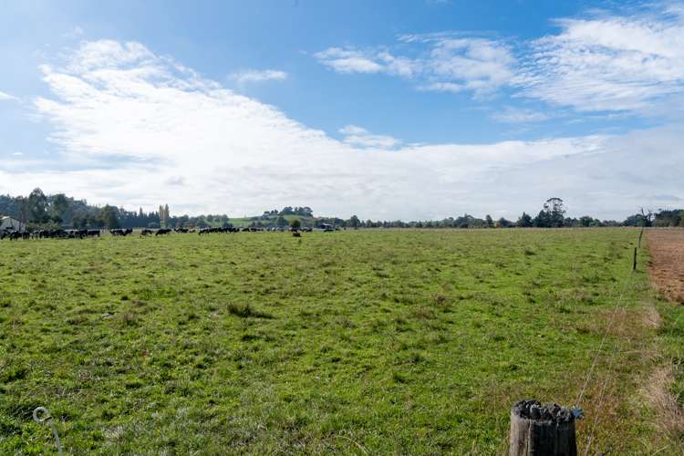 166 Crawford Road Te Kowhai_20