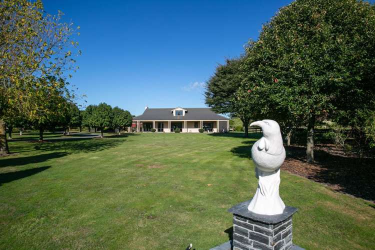 18 Everad Avenue Matamata_24