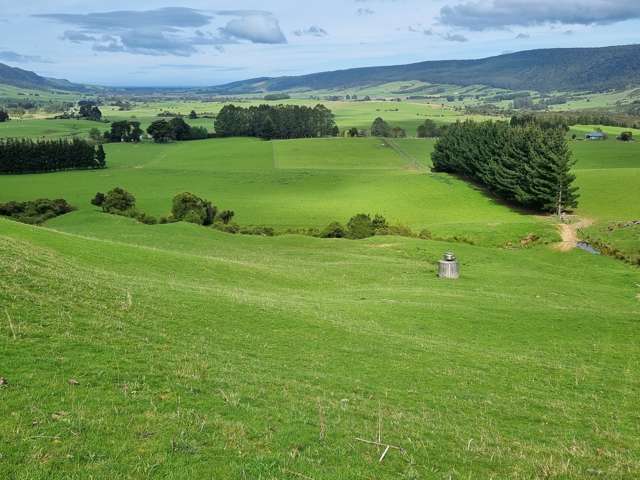 1384 Tahakopa Valley Road Catlins Surrounds_1