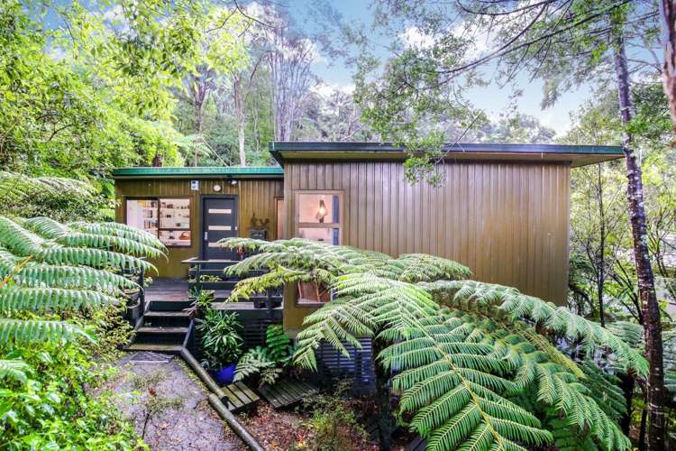 4 Karapiti Place Glen Eden_15