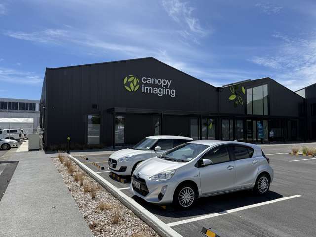 18 Ossian Street Ahuriri_2