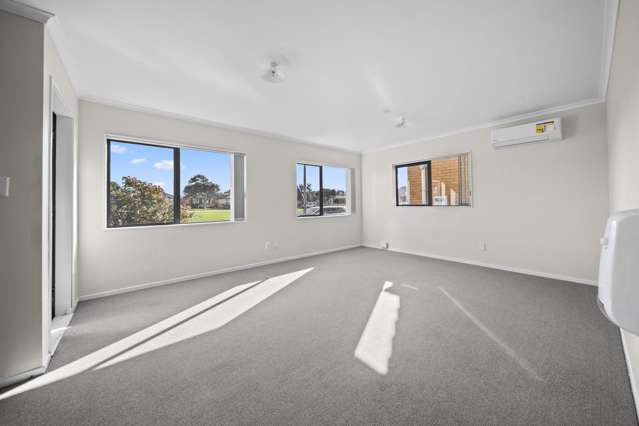 55 Harriet Street Favona_1