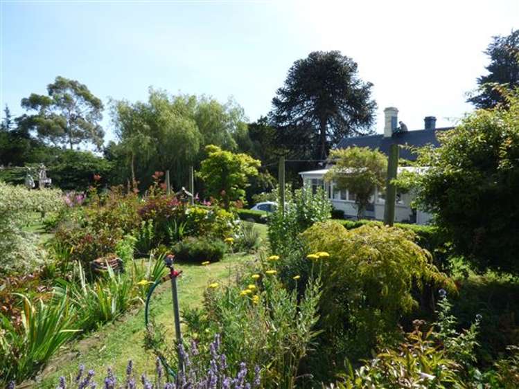 331 Mount Wallace Road Balclutha_3