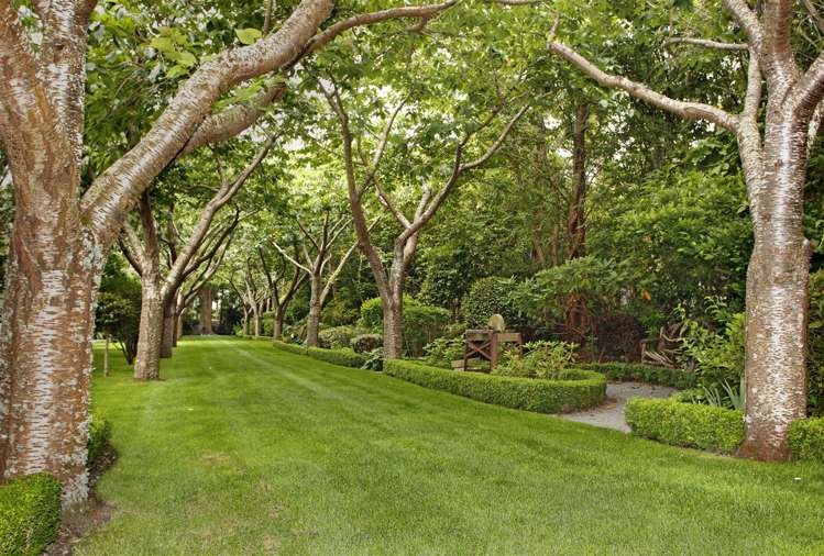 750 Wairakei Road Burnside_18