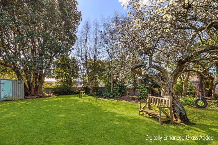 12 Caius Avenue Gonville_8