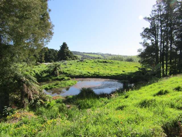 554b Te Pua Road Kaikohe_4